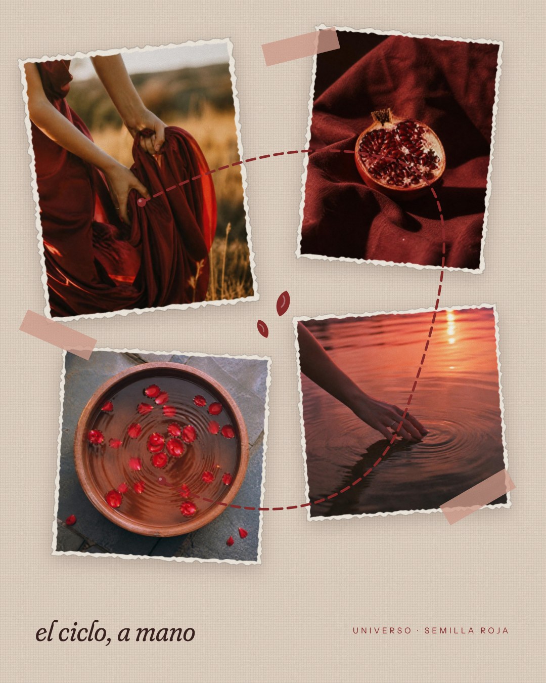 Semilla Roja, universo visual