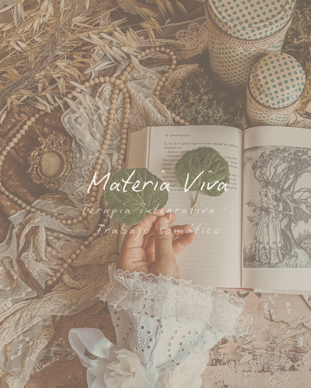 Materia Viva — portada