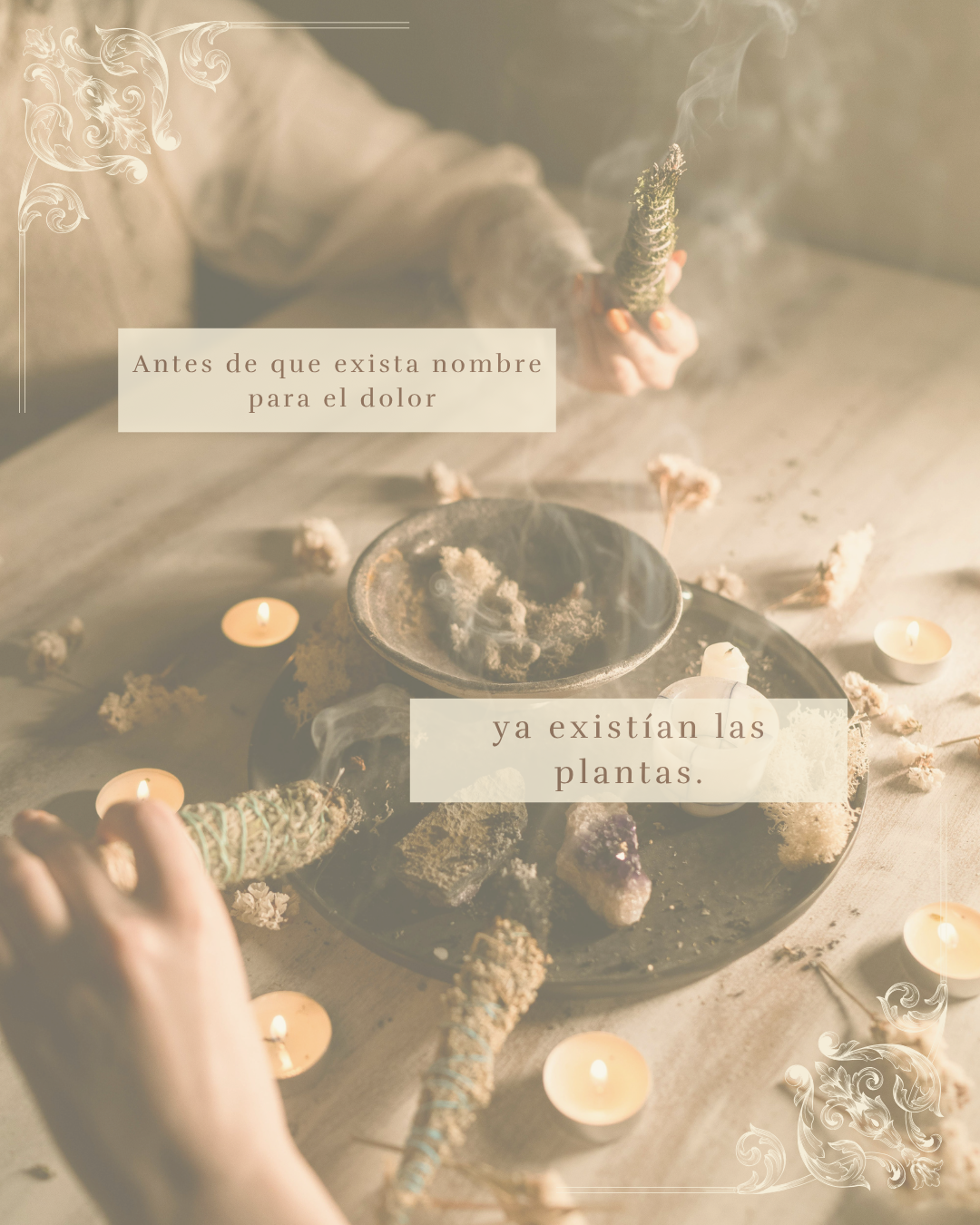 Materia Viva — Antes de que exista nombre para el dolor
