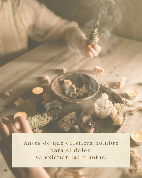Materia Viva, placa