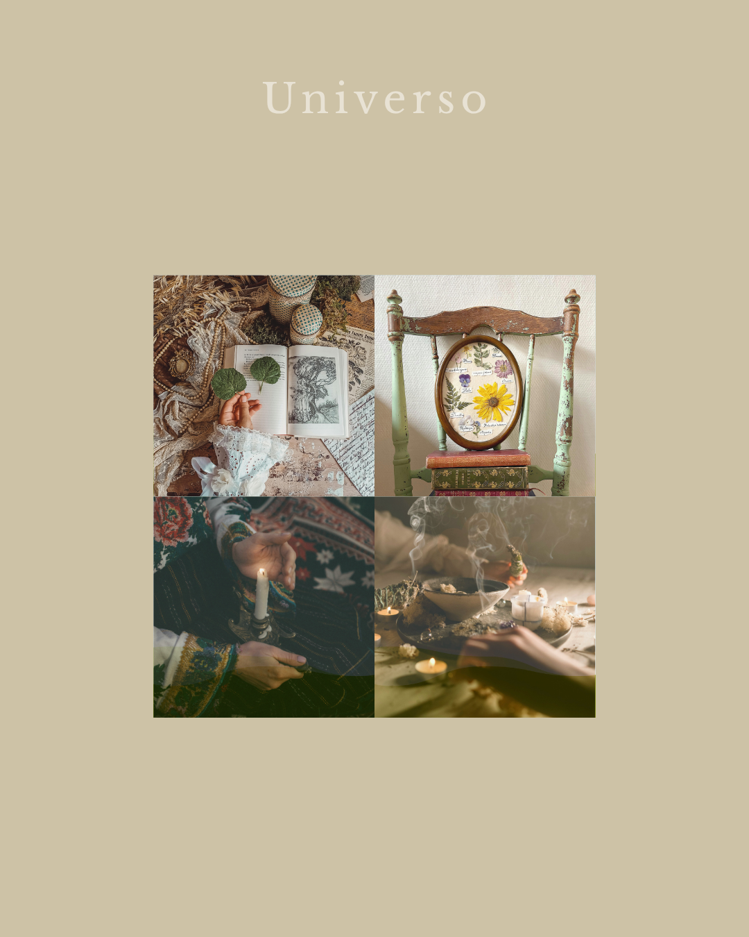Materia Viva — universo visual