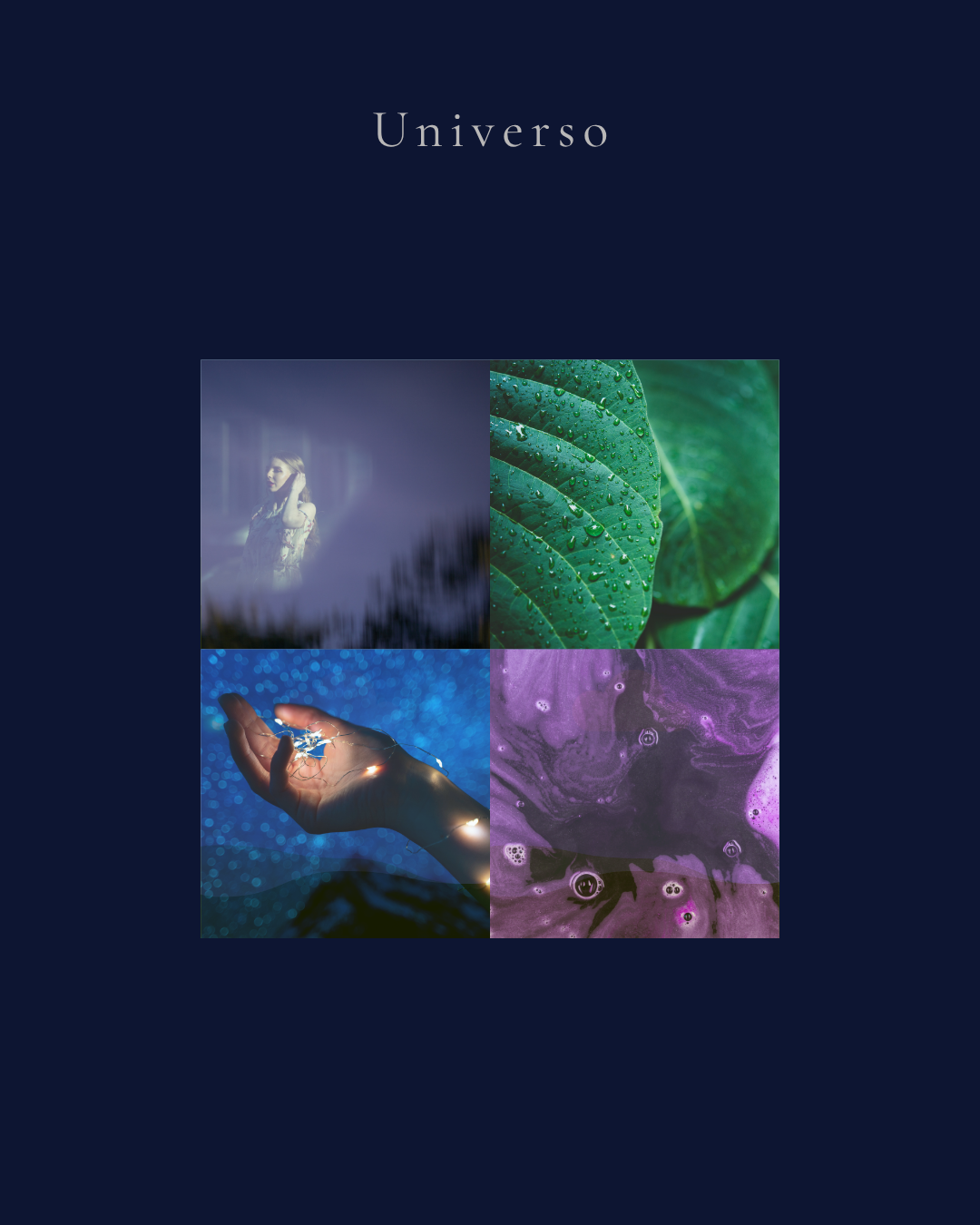 Rocío — universo visual
