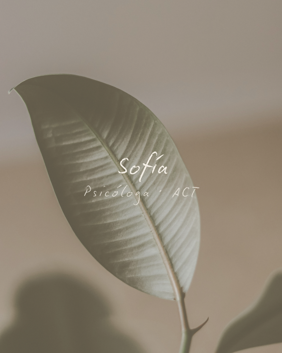 Sofía — portada
