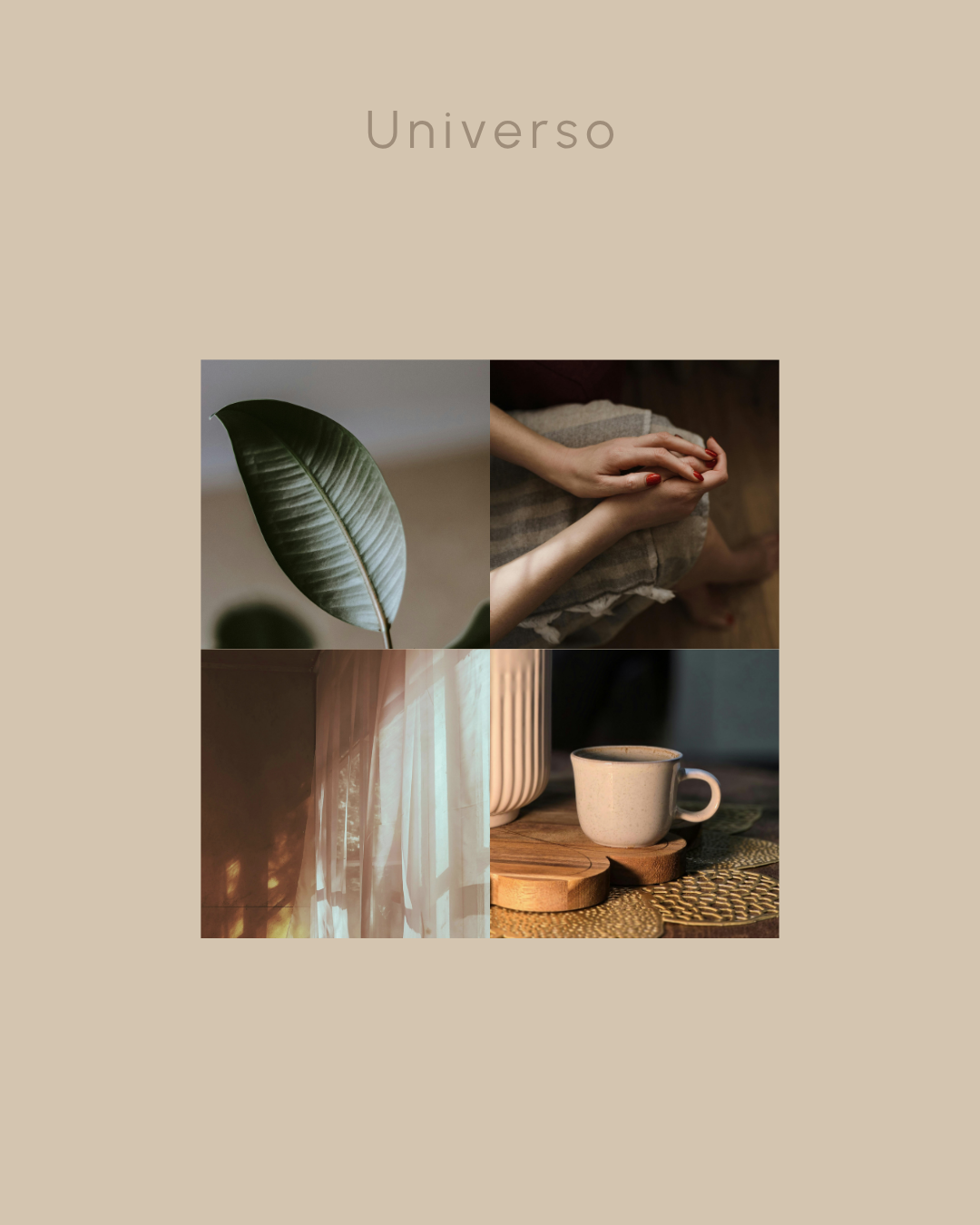 Sofía — universo visual